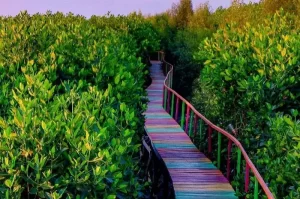 7 Wisata Makassar Terbaru dan Paling Hits